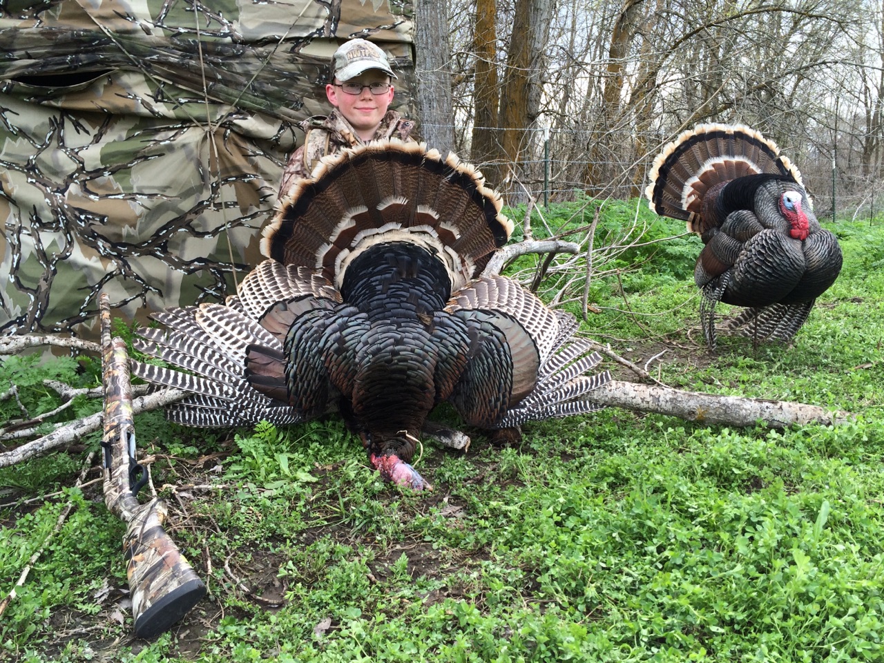 Washington 2019 Spring Turkey Hunting Prospects