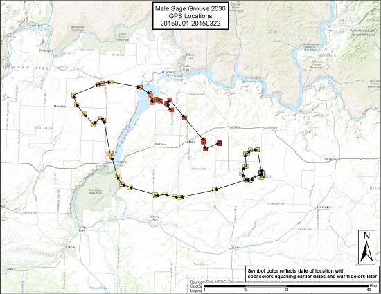 A WDFW MAP AND PHOTO (BELOW) SHOW THE SAGE GROUSE KNOWN AS 2036 AND HIS TRAVELS THIS PAST FEBRUARY AND MARCH. (WDFW)