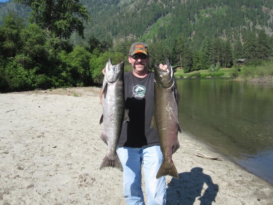 SCOTT FLETCHER HOLDS A PAIR OF SPRING CHINOOK CAUGHT OUT OF ICICLE CREEK EARLIER THIS YEAR. THE HATCHERY THAT REARED THEM AS SMOLTS IS THE SUBJECT OF A PENDING LAWSUIT. (DAIWA PHOTO CONTEST)