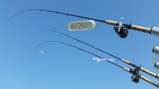CARE ABOUT PUGET SOUND'S FISHERIES? WDFW IS LOOKING FOR UP TO 20 NEW ADVISORS FOR SPORTFISHING ISSUES. (ANDY WALGAMOTT)