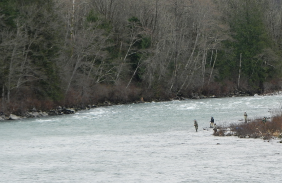 SKYKOMISH EARLY-TIMED WINTER STEELHEAD, WHICH THESE ANGLERS ARE FISHING FOR JUST BELOW THE REITER PONDS REARING FACILITY, IS AMONG THE FIVE PROGRAMS FEDERAL FISHERY OVERSEERS ARE ASKING FOR PUBLIC COMMENT ON. (ANDY WALGAMOTT)