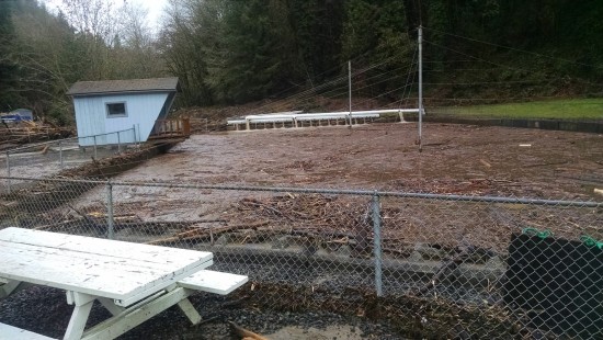 DEBRIS FILLS A RACEWAY AT WDFW'S SALMON HATCHERY ON THE KALAMA. (WDFW)