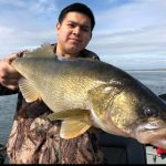 Walleye Anglers Worry About Mid-Columbia Study