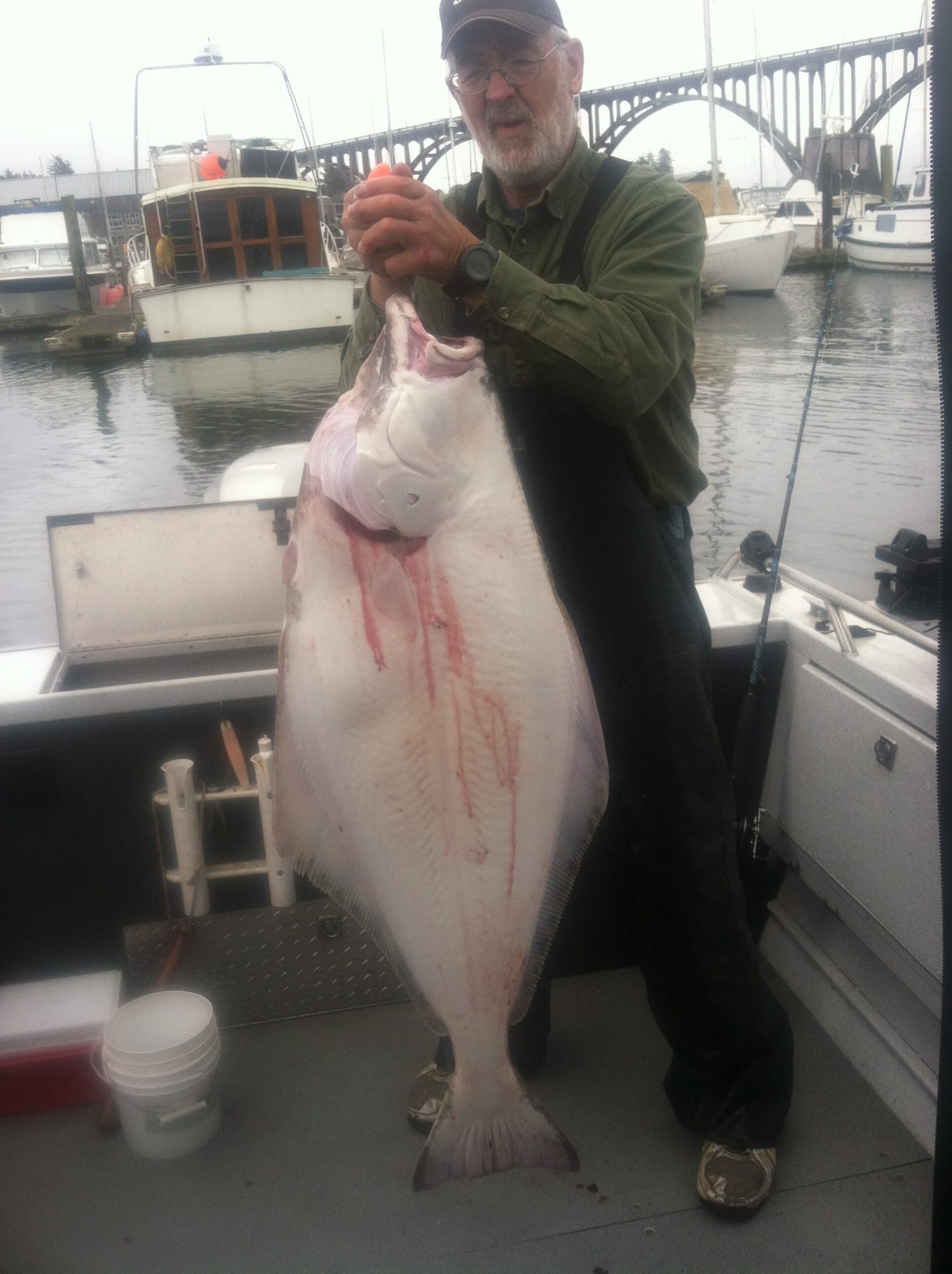 After 1week Prep Delay, Central Coast Alldepth Halibut A Go May 21