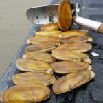 Copalis Beach Opening For 3 Days Of Razor Clam Digs
