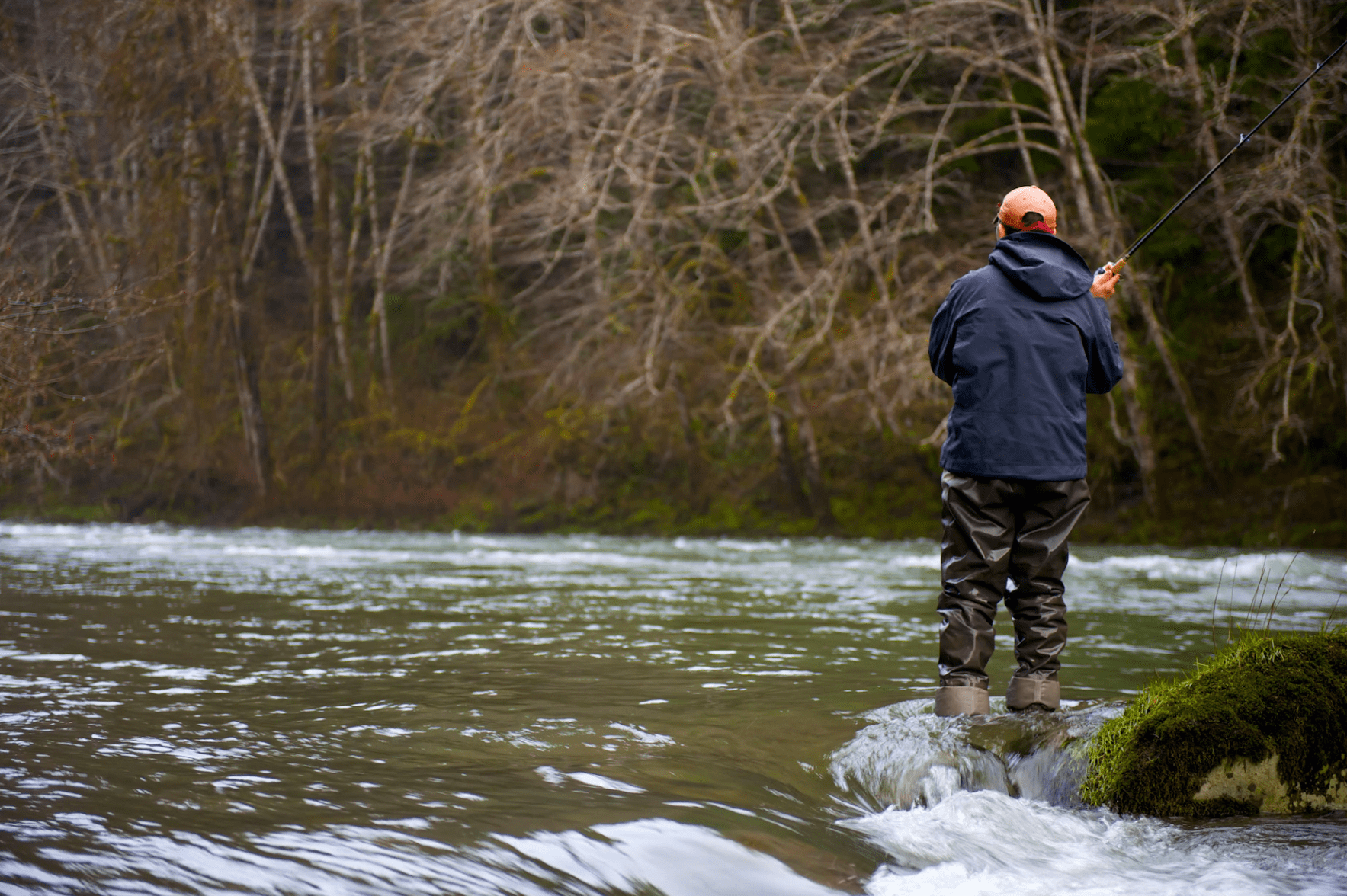 At A Fork In The River: The Future Of Westside Steelhead, Fisheries For  Them 