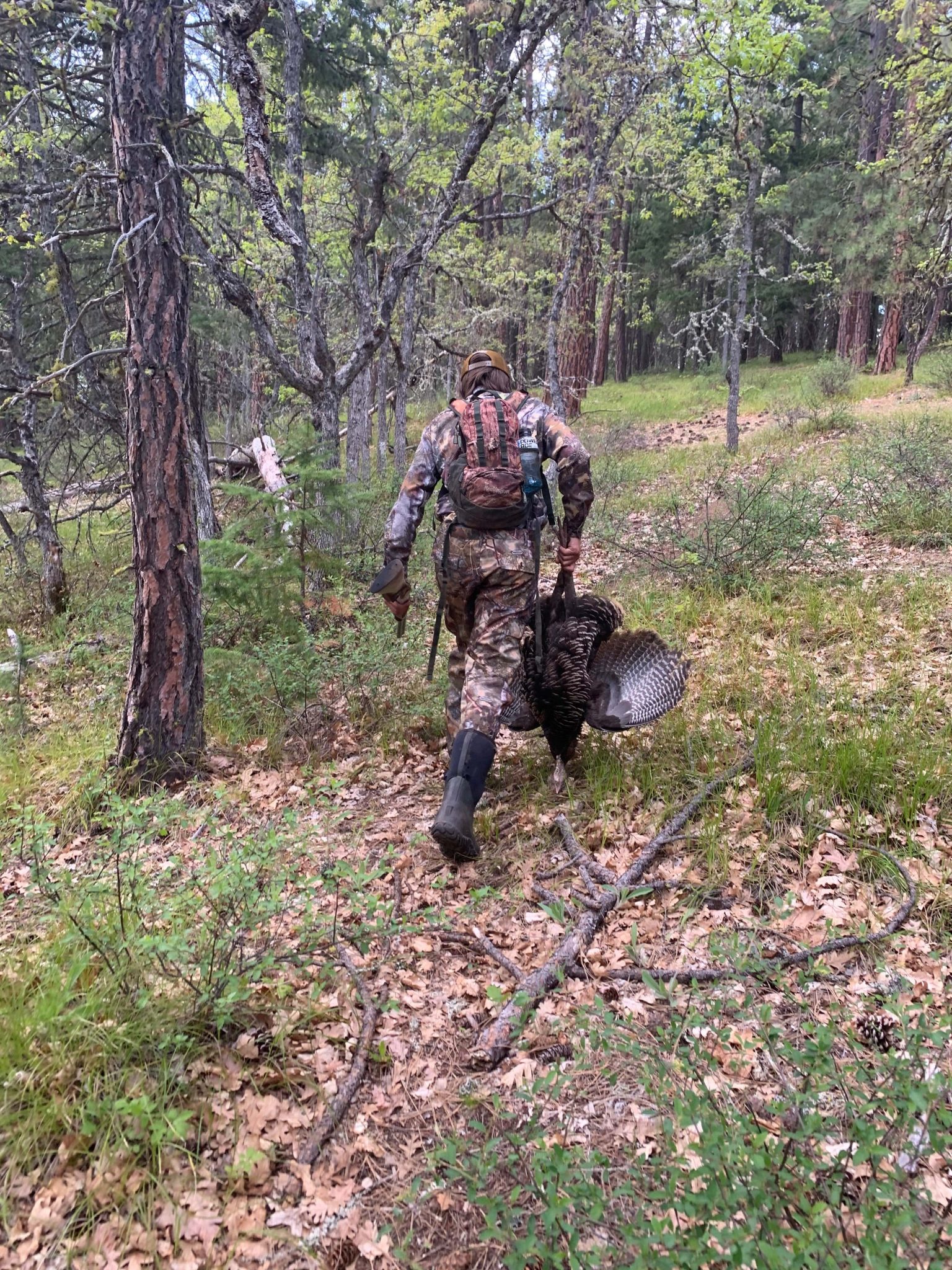 Hunter Ed Courses Available For Prospective Washington Spring Turkey