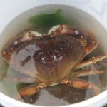 Crabbing Closed On Oregon’s Southcentral Coast