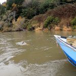 Fishing Closure Lifted On OR South Coast’s Sixes River