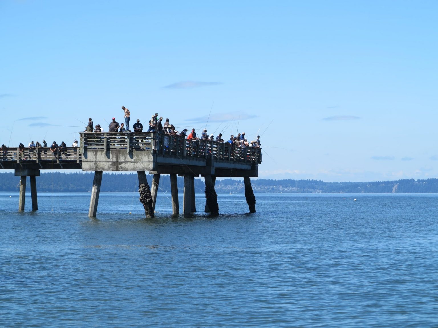 Dash Point Pier Closed As Heart Of Salmon Season Arrives