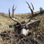 Idaho 2021 Elk, Mule Deer, Whitetail Hunting Forecast, Regional B …