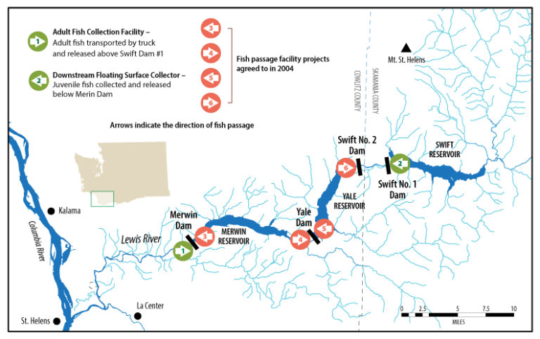 Groups Pleased With Fed's U-turn On North Fork Lewis Full Fish Passage ...