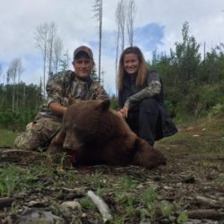 WDFW Commission To Set Spring Bear Hunt Policy By Year End