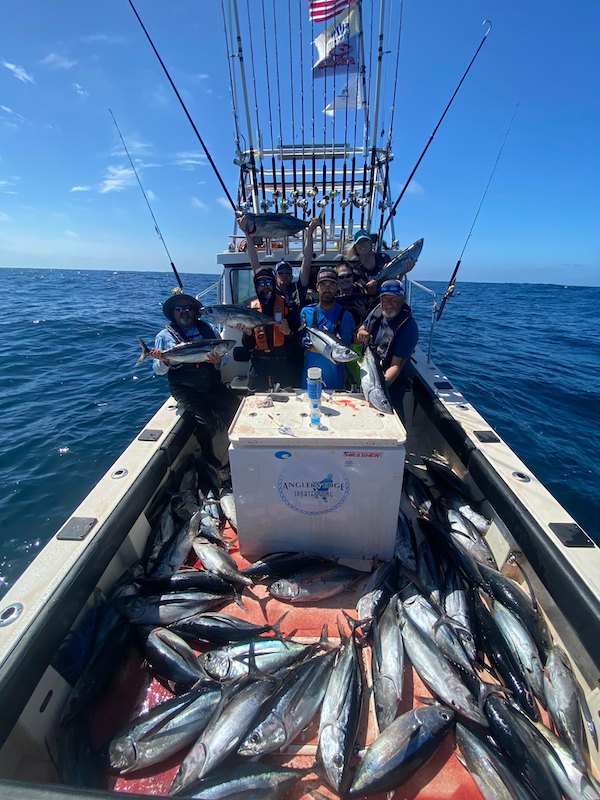 Sound The Alarm' – Tuna Fishing's Back 