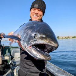 Hanford Reach Fishing Report (9-26-22)