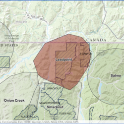 Another Series Of Depredations In NE WA; In Leadpoint Pack Area