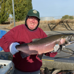 SW WA, Hanford Reach Fishing Report (11-15-22)
