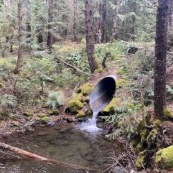 NW Watersheds To Benefit From Infrastructure Law Dollars