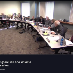 Waiting On WDFW Commission Appointments