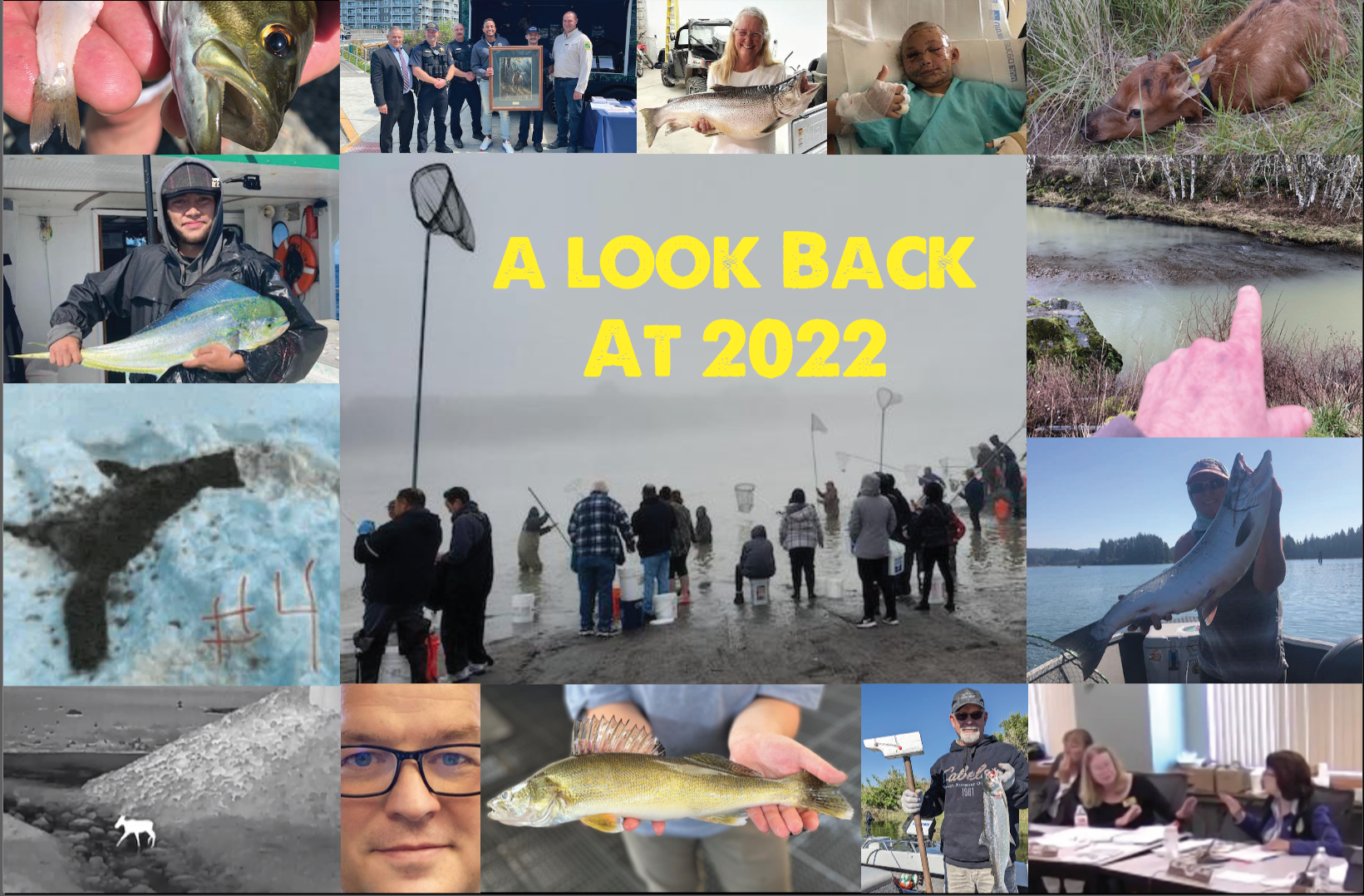 2022 Northwest Fish And Wildlife Year In Review 