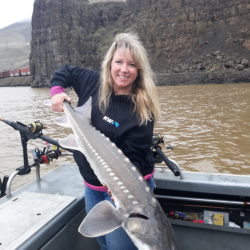 Dalles, John Day Pools To Close For Sturgeon; No Bonnie Reopener