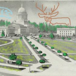 Early Look At Fish-, Wildlife-related Bills Dropped In Olympia