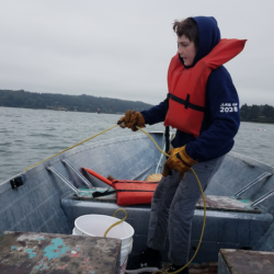 All Crabbing (Bay, Ocean) Closed On Oregon’s South Coast