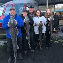 Bonneville Sturgeon Fishery Closing After Weds; Reopener Possible