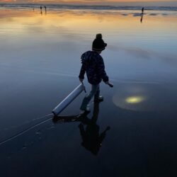 WA Razor Clam Season Could Open Sept. 29; Toxin Levels Being Watched