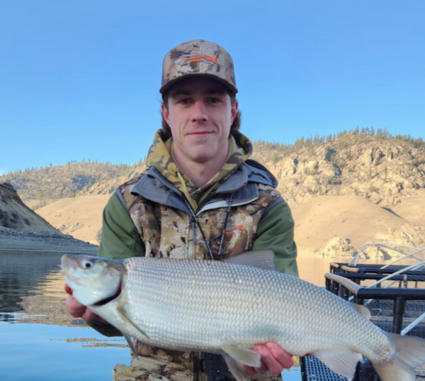 Zag Lands New WA Record Lake Whitefish At Roosevelt 