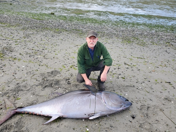 Mystery Solved? Podcast Offers More Details About Orcas Island Bluefin Tuna  