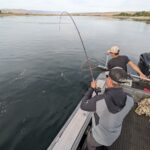 Hanford Reach Fishing Report (9-12-23)
