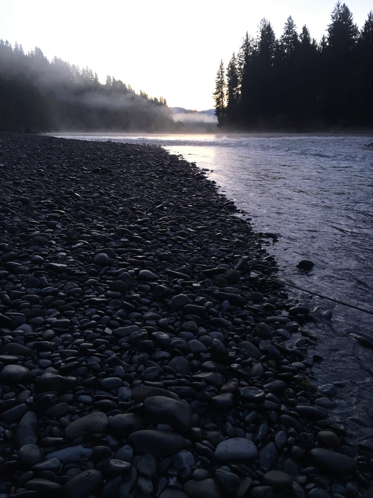 North River Steelhead 