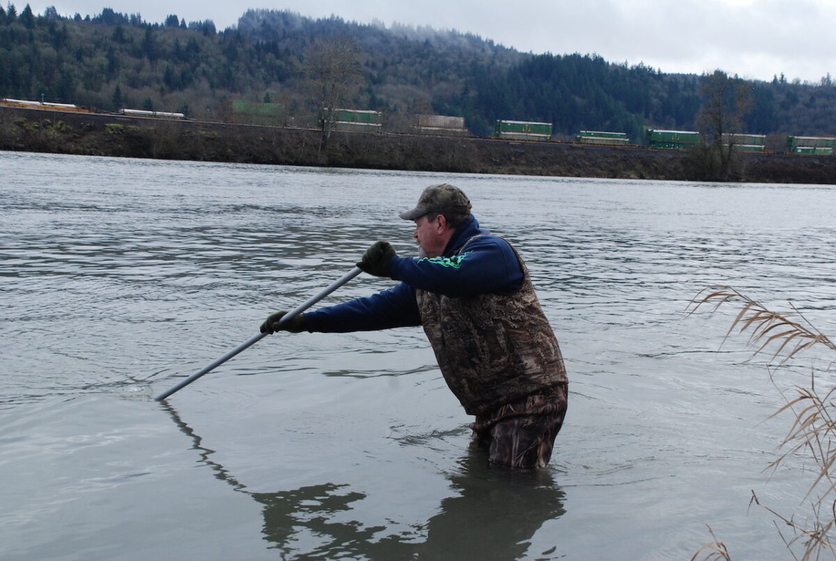 Smelt dip-net fishery on Cowlitz River opens this Saturday only, expect  lots of people