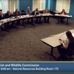 Washington Fish And Wildlife Commission To Talk Cougar Science, Rulemaking Today