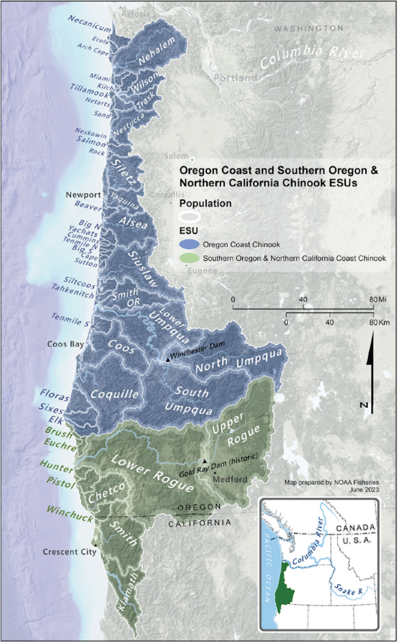 Feds Complete Status Reviews Of Oregon Coast, NorCal Chinook Populations