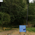 Young Chinook Poisoned At Lower Umpqua Hatchery; Sheriff Investigating