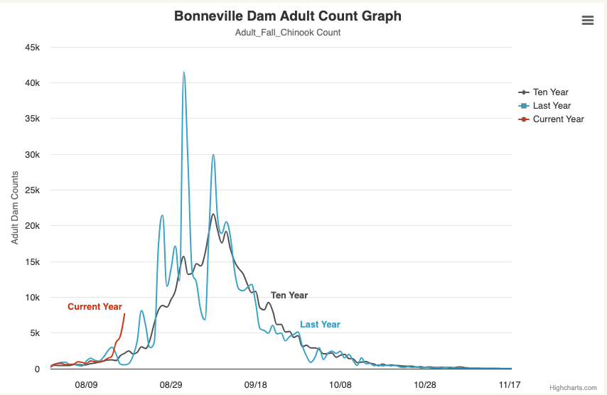 Good start to the fall Chinook count in Bonneville –