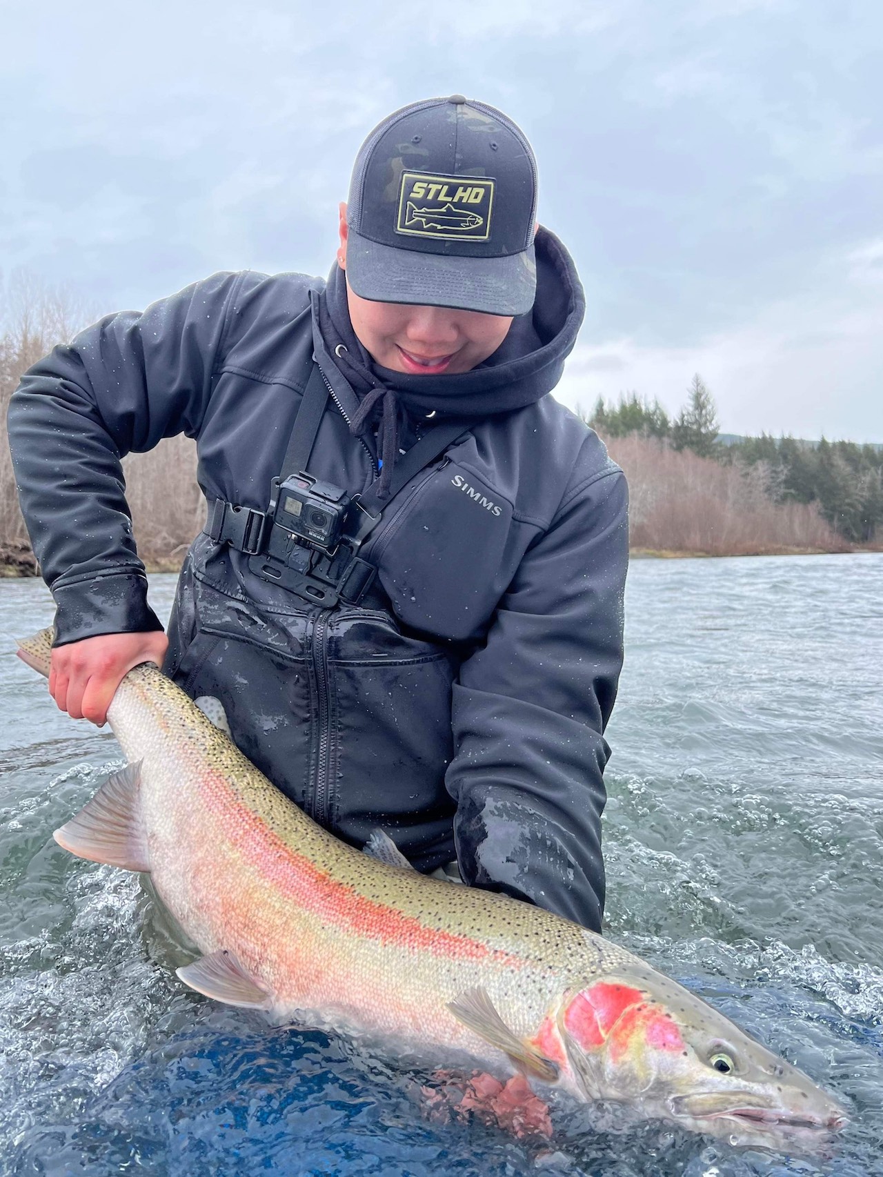 Olympic Peninsula Steelhead At 'Moderate Risk Of Extinction' Status(01)