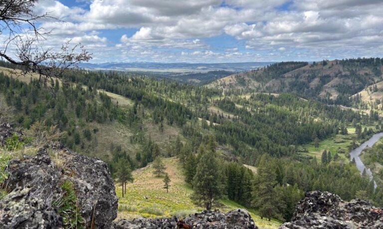 529309350_1153777486786511_5600787761845178798_n