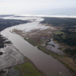 ODFW Commission Approves 2026 Fishing,  Hunting Regs, Opens Coquille For Hatchery Kings