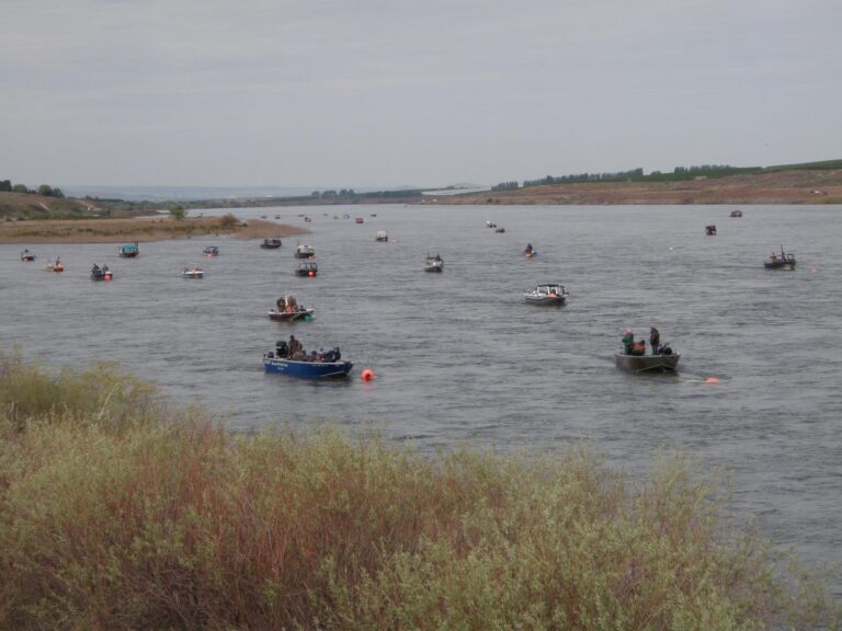Snake river salmon anglers