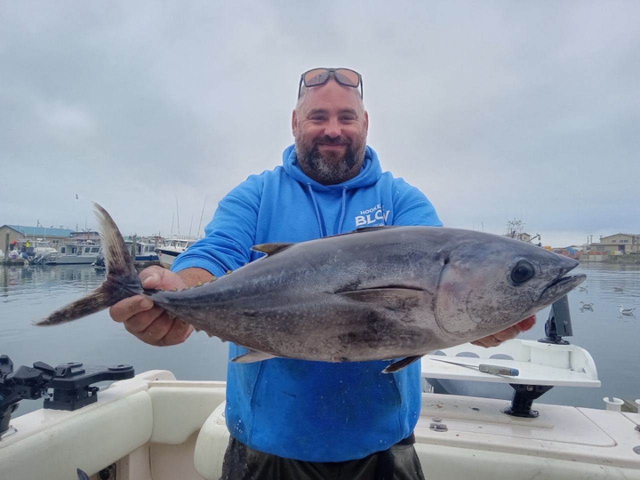 Solomon-westport-bluefin.jpg