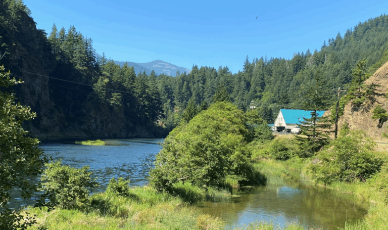 little white salmon national fish hatchery drano lake usfws lawrence