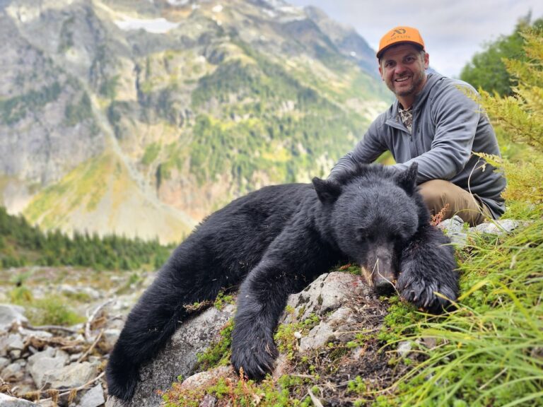 North Cascades bear