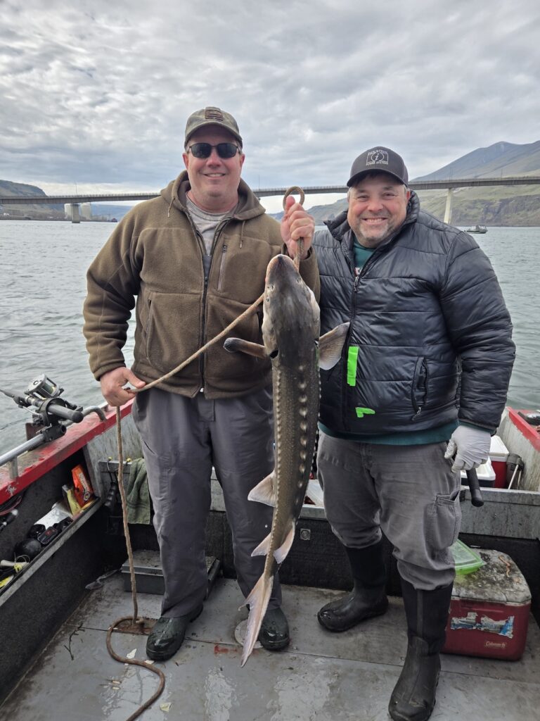 The Dalles Pool sturgeon Harody Schwartz