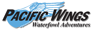 pacificwings.png