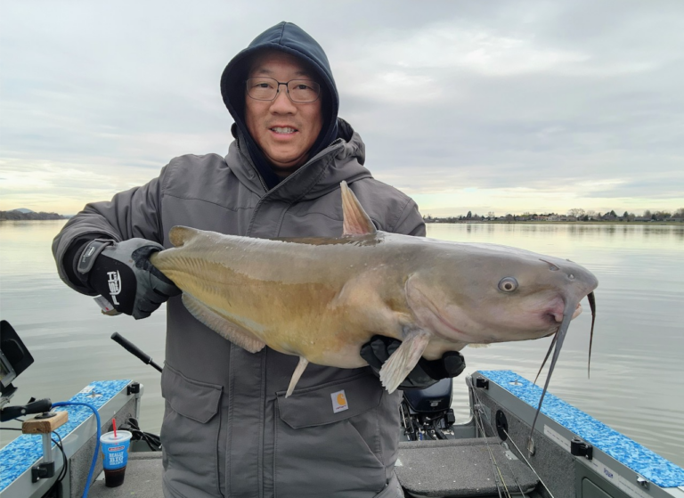 Mid-Columbia channel catfish Han
