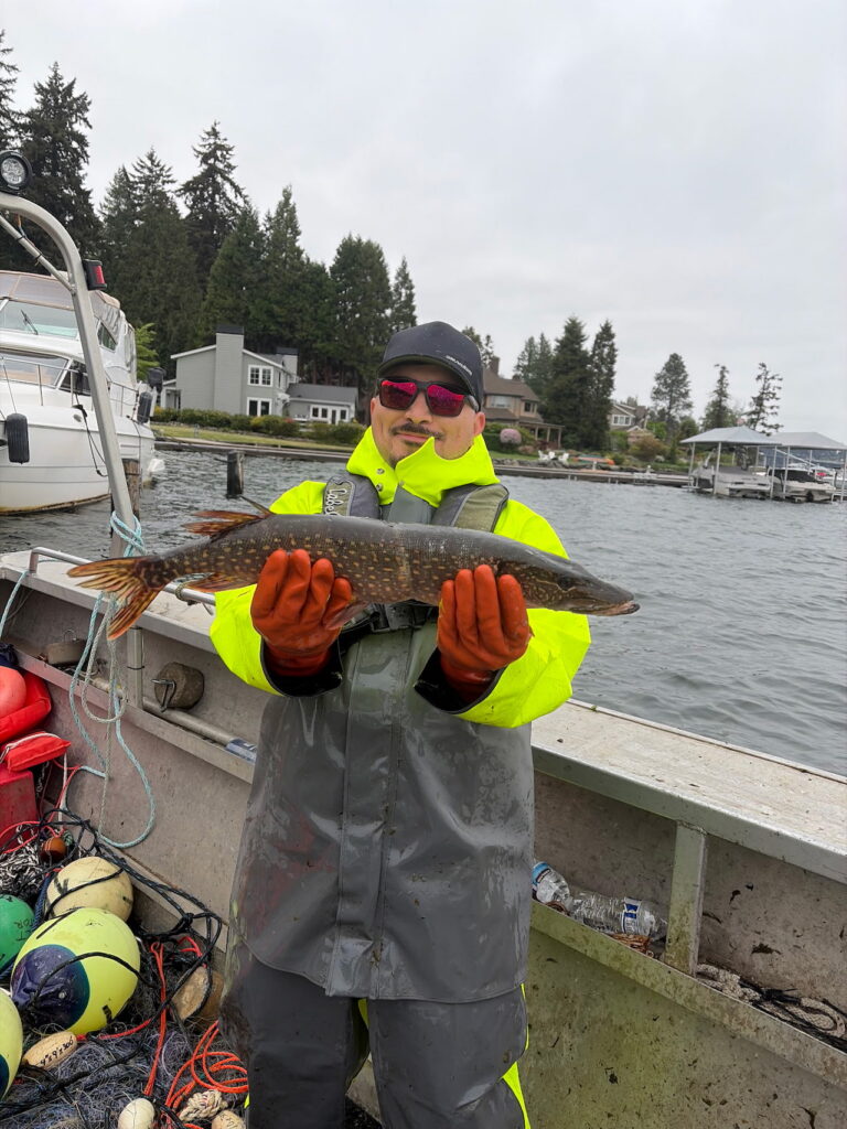 Lake Washington northern pike MIT
