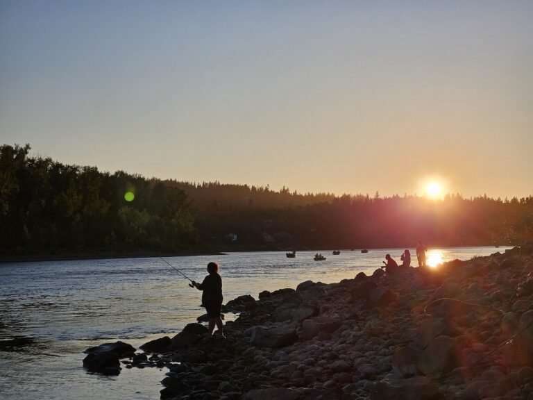 Willamette River shad anglers